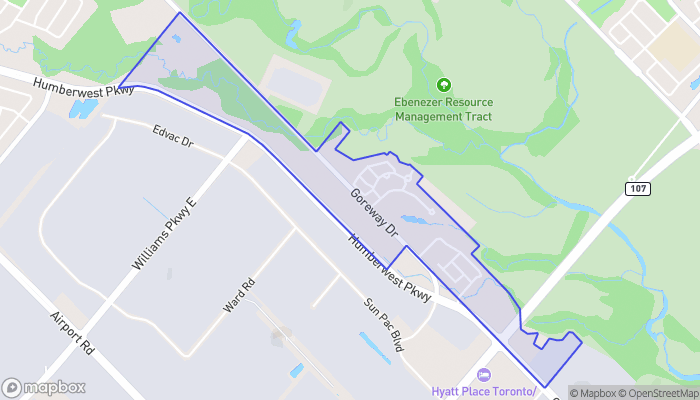 Map of Goreway Drive Corridor