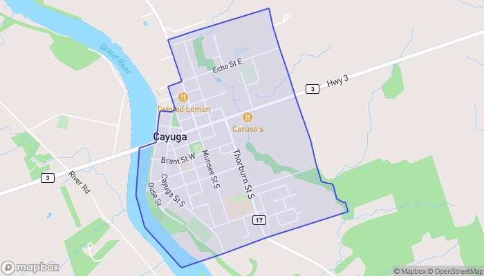 Map of Cayuga
