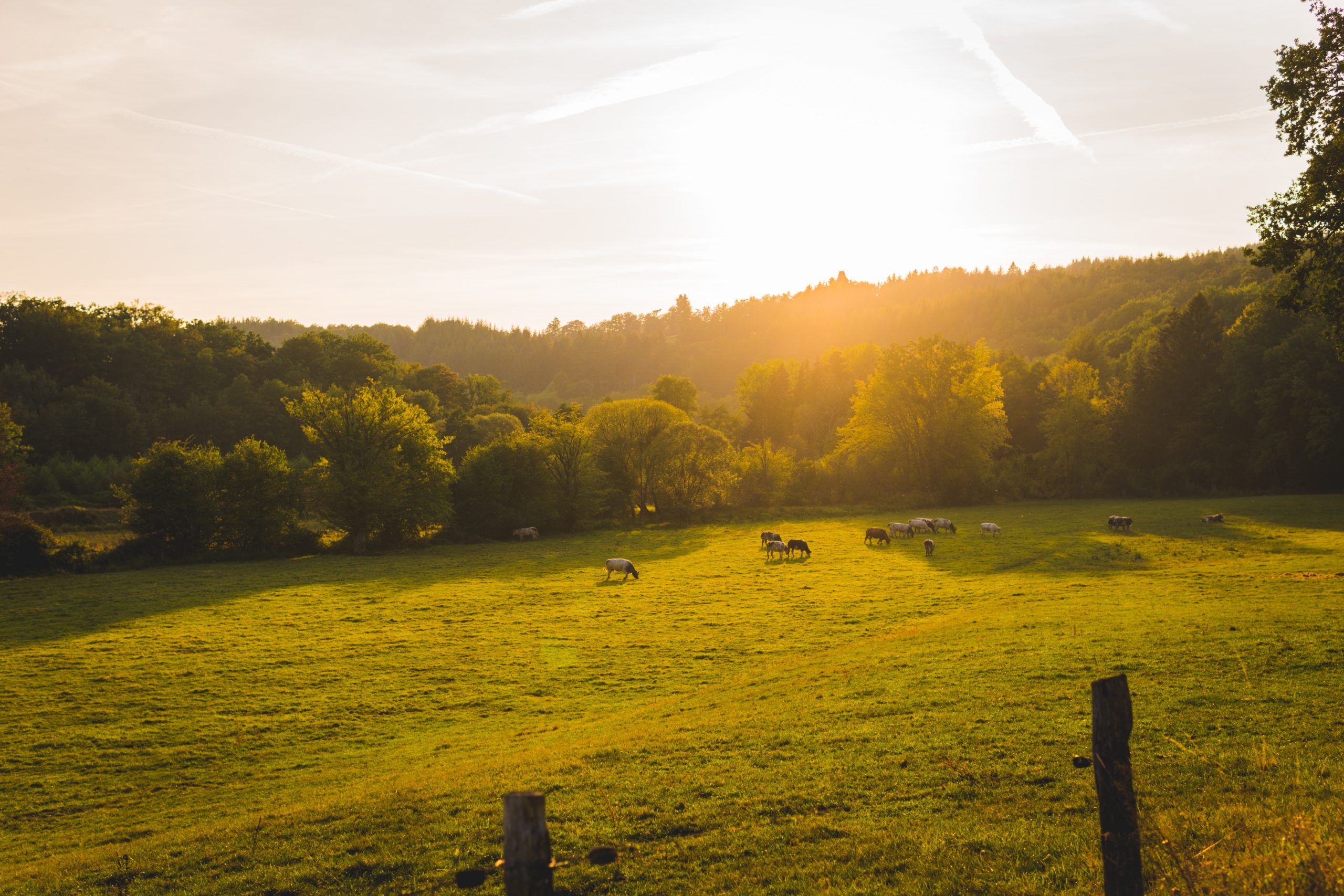 RURAL CALEDON