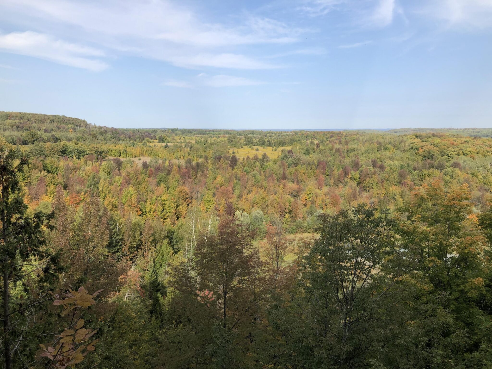 Mono Cliffs